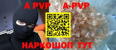 ешки Кингисепп